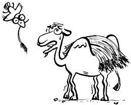 GoEnglish_com_TheStrawThatBrokeTheCamelsBack