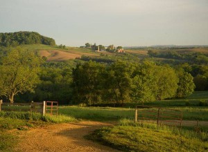 into wilderness picture