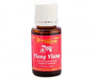 ylang-ylang-480x404