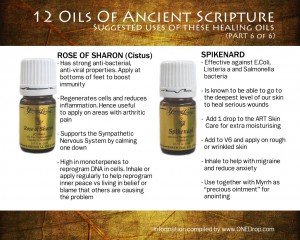 ancient-scripture-5-rose-of-sharon-spikenard