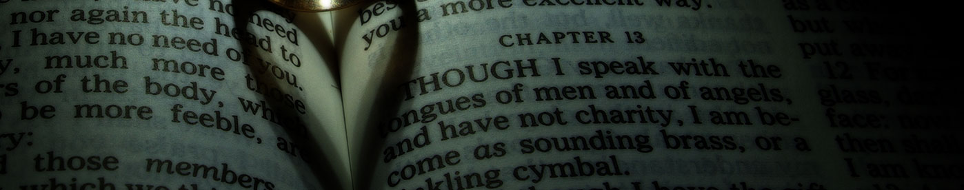 Our Daily Devotionals