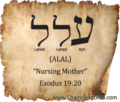 HEBREW WORD STUDY – NURSING MOTHER