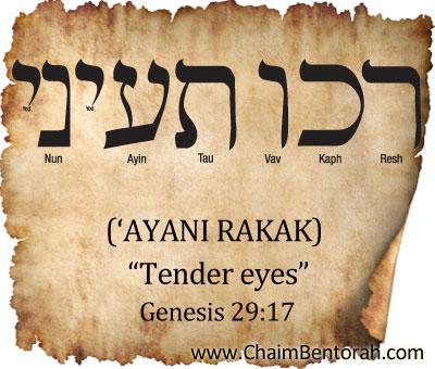 WORD STUDY – TENDER EYES