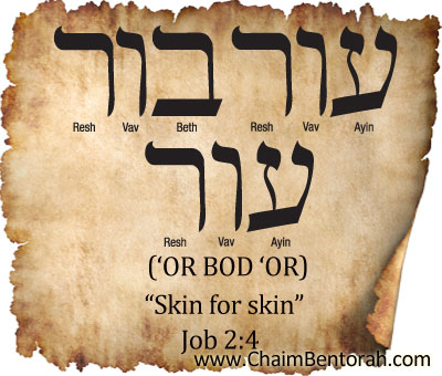 HEBREW WORD STUDY – SKIN FOR SKIN