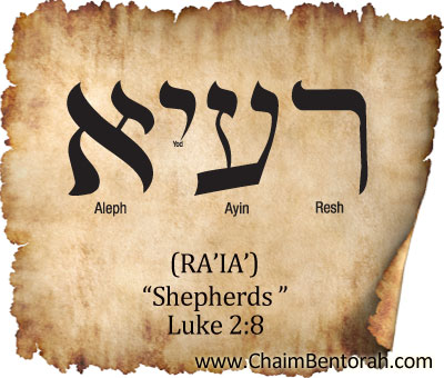 HEBREW (ARAMAIC WORD STUDY – SHEPHERDS