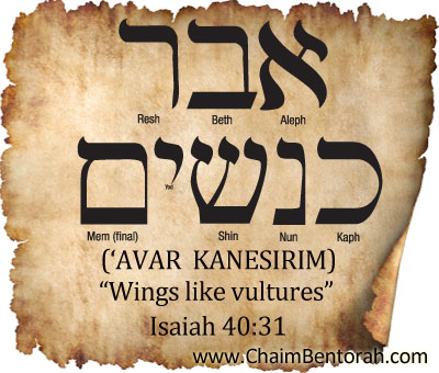 HEBREW WORD STUDY – WINGS LIKE VULTURES