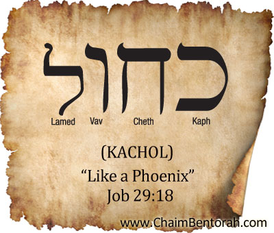 HEBREW WORD STUDY – LIKE THE PHOENIX