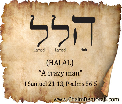 HEBREW WORD STUDY – A CRAZY MAN