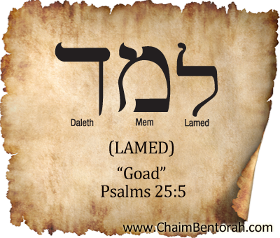 HEBREW WORD STUDY – GOAD