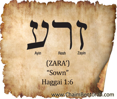 HEBREW WORD STUDY – SOWN