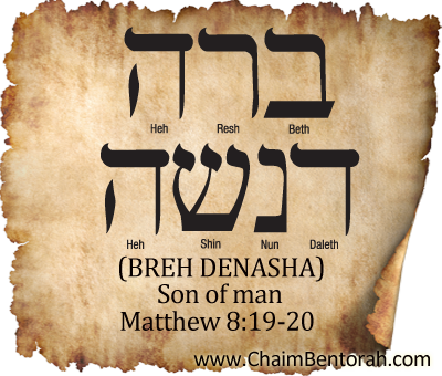 ARAMAIC WORD STUDY – SON OF MAN