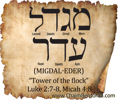 HEBREW WORD STUDY – TOWER OF THE FLOCK