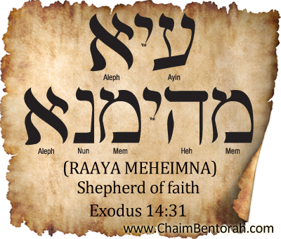 ARAMAIC WORD STUDY – SHEPHERD OF FAITH