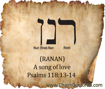 HEBREW WORD STUDY – A SONG OF LOVE