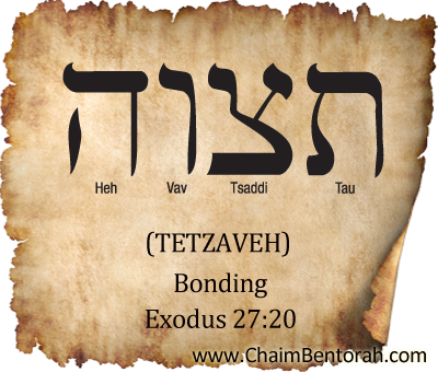 HEBREW WORD STUDY – BONDING –
