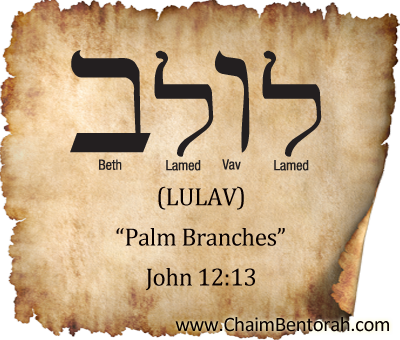 HEBREW WORD STUDY – PALM BRANCHES