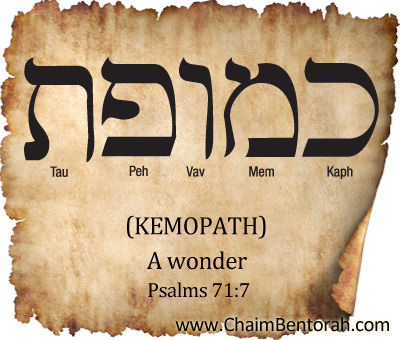 HEBREW WORD STUDY – A WONDER