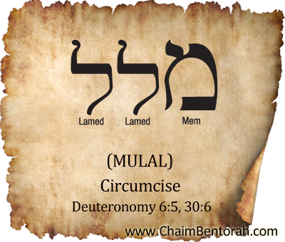 HEBREW WORD STUDY : CIRCUMCISE – MULAL