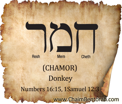 Donatee Meaning, Pronunciation, Numerology and More