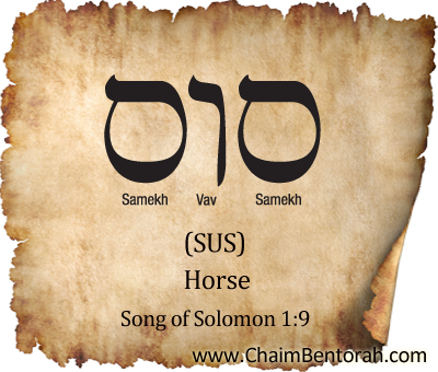 HEBREW WORD STUDY – A HORSE