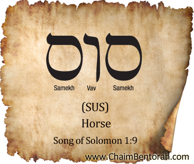 Hebrew Word Study A Horse Chaim Bentorah