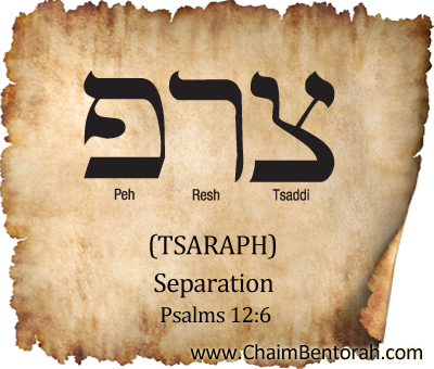 HEBREW WORD STUDY: SEPARATION – TSARAPH