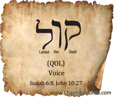 HEBREW WORD STUDY – VOICE