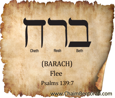 HEBREW WORD STUDY – FLEE