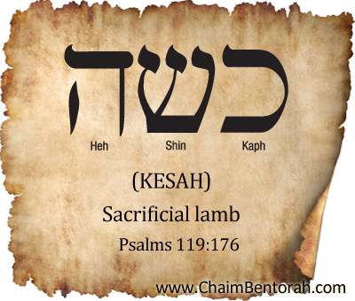 HEBREW WORD STUDY – SACRIFICIAL LAMB