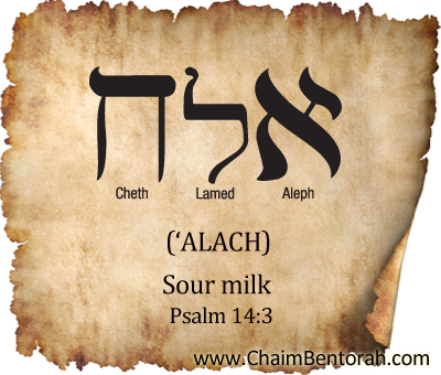 HEBREW WORD STUDY – SOUR MILK
