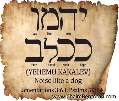 HEBREW WORD STUDY – NOISE LIKE A DOG
