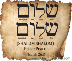 Shalom Novelty Sign Hebrew Meaning Peace Plaque Heart and -  Israel