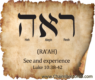 HEBREW WORD STUDY – SEE AND EXPERIENCE