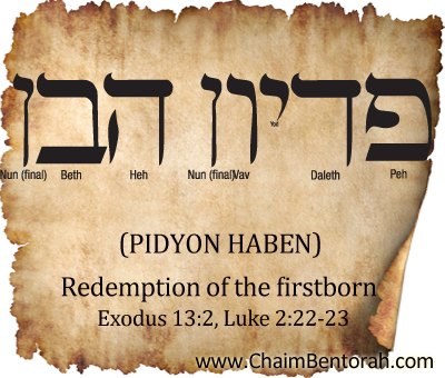 HEBREW WORD STUDY – REDEMPTION OF THE FIRSTBORN