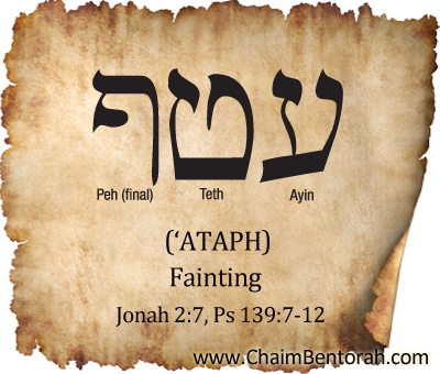 HEBREW WORD STUDY – FAINTING – ‘ATAPH עטף