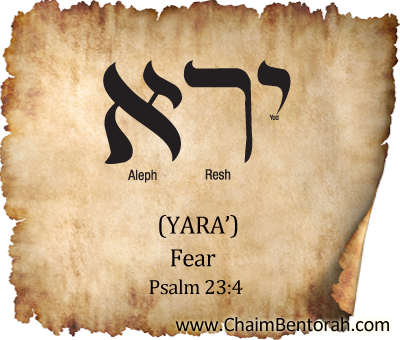 Hebrew word study – fear – yara’ ירא