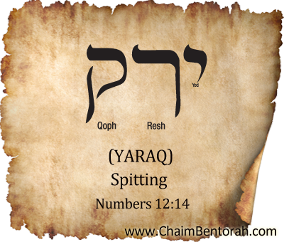 Hebrew word study – spitting – yaraq ירק