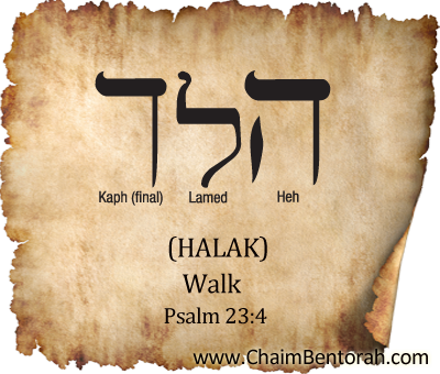 Hebrew word study – walk – halak הלך Hei Lamed Kap