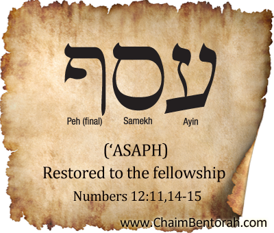 The Hebrew Meaning of Shalom — Promise Bible Study