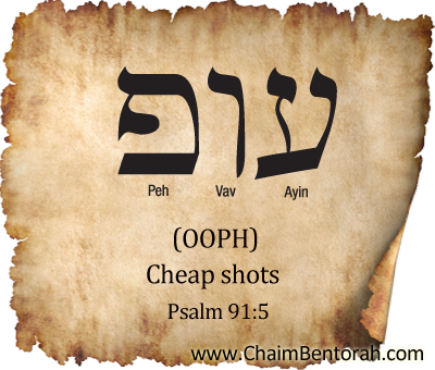 Hebrew Word Study – Cheap Shots – Ooph  עוף