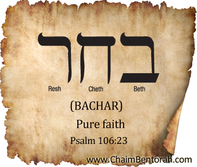 Hebrew Word Study – Pure Faith – Bachar – בחר