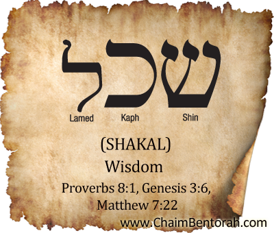 Hebrew Word Study – Wisdom – Shakal  שכל