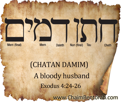 Hebrew Word Study – A Bloody Husband – Chatan Damim  חתן דמים 