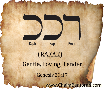 Hebrew Word Study – Gentle, Loving, Tender – rakak  רכך