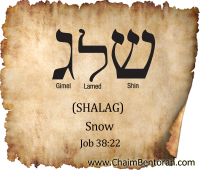 Hebrew Word Study  – Snow – Shalag – שלג    