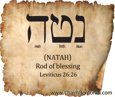 Hebrew Word Study  – Rod of Blessing – Natah נטה  