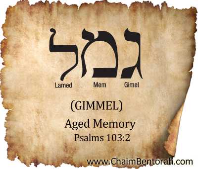 Hebrew Word Study – Aged Memory – Gimel  גמל