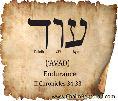 Hebrew Word Study – Endurance – ‘Avad  עוד 