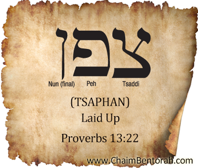 Hebrew Word Study – Laid Up – Tsaphan